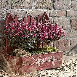 《宝可梦：大集结》新宝可梦“坚盾剑怪” 2月10日上线